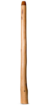 Wix Stix Didgeridoo (WS195)